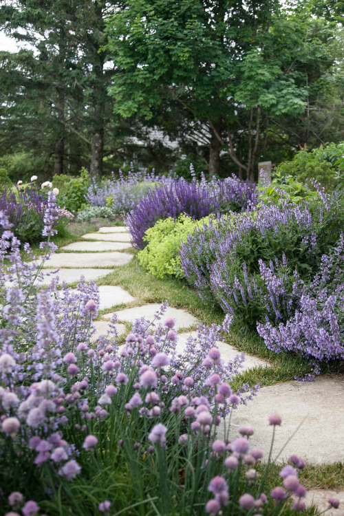 georgianadesign:‘Clamshell Alley,’ Maine residence. Matthew Cunningham Landscape Design,