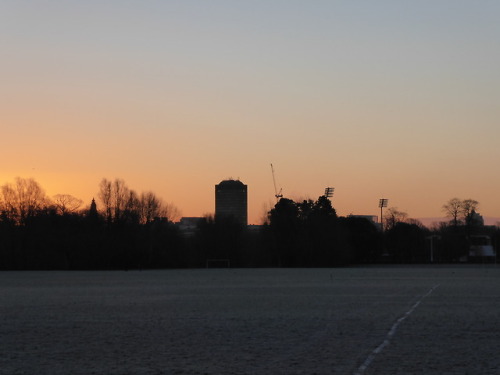 Saw some truly glorious sunrises on my walks to work this week