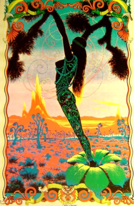 Desert Blossom