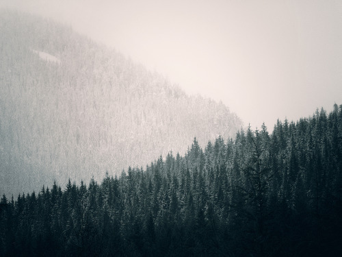 lvndcity: Snowline by Atmospherics (2012) Canada