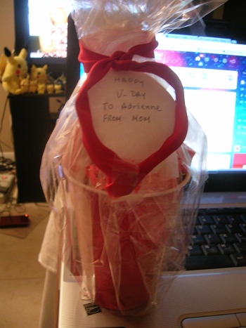 so look at what my mom gave me for valentine&rsquo;s ;o; she actually gave me