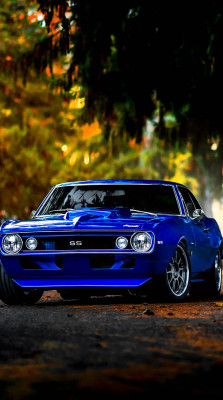 h-o-t-cars:    Chevrolet Camaro | Source    