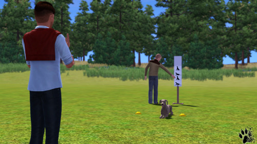 I’ve created some human poses for Obedience.[TS3] Human Poses for Obedience #16 Distance Contr