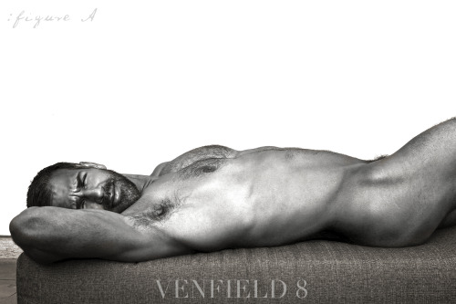 venfield8:  The Young Person’s Guide to Motivational Exhibitionism, 2013 VE N F I E L D 8 