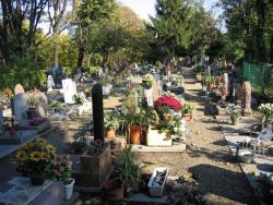 odditiesoflife:   World’s Oldest Pet Cemetery, Paris  On the outskirts of Paris hides a historical curiosity: the world’s oldest pet cemetery. Built in 1899, at the height of fashionable decadence in France, this enclave of the obedient and the dead