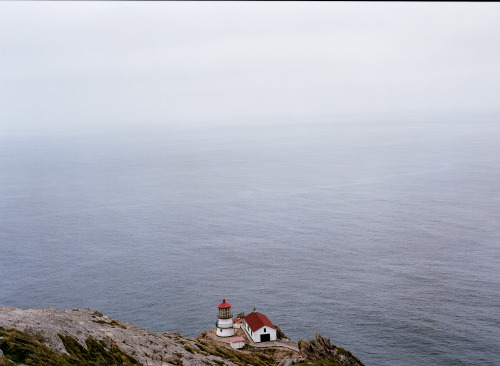 taylormccutchan:Point Reyes Lighthouse Pentax 645, 45mm, Portra 400 