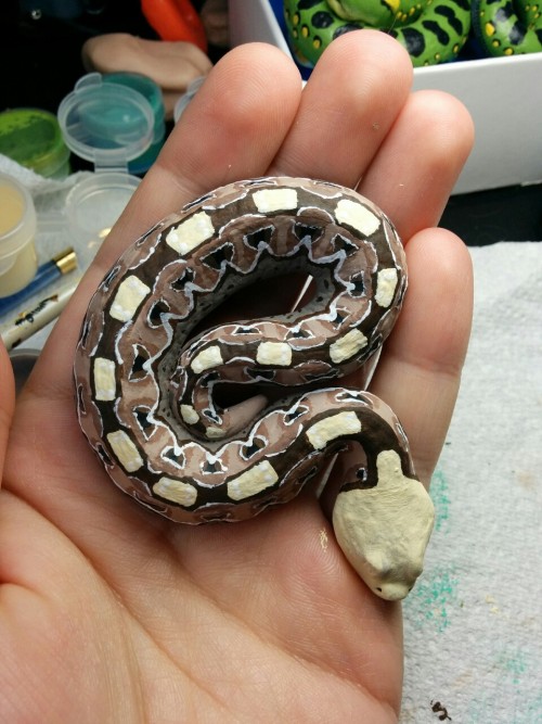 rate-my-reptile: customexotics: I can’t put to words how much I love this little guy, the face