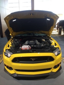 ford-mustang-generation:  Under the Hood of the 2015 Ford Mustang