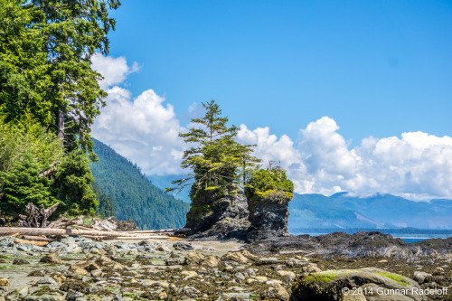 7.7.2014 - day 5 on the West Coast Trail - this trail is $^%@ing awesome!#BC #Canada #VancouverIslan