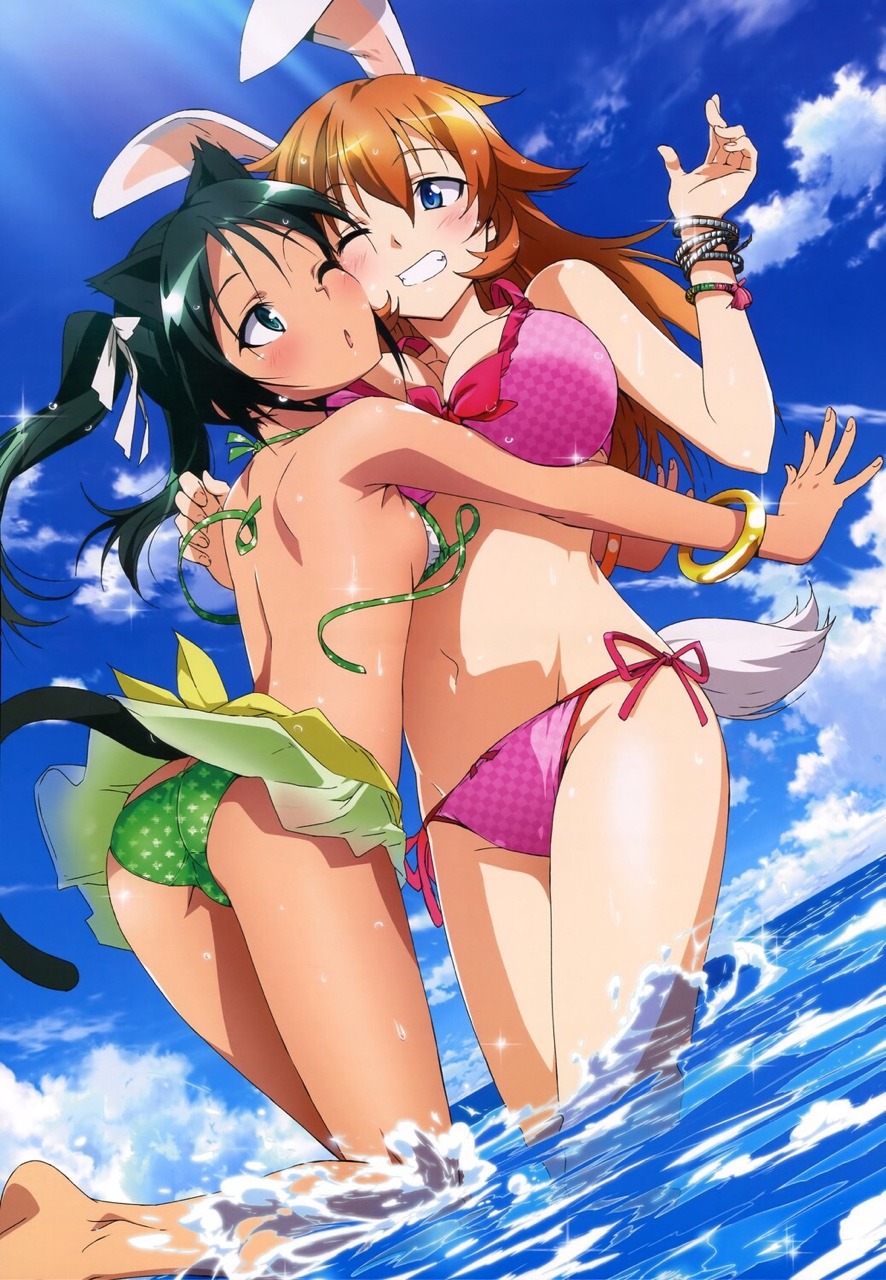Sexy catgirls and stuff