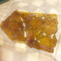 zerobrand:  More homegrown! #zerobrandextracts #wepurge #wemakemedicine #cleanconcentrates #dabsrus #thc #truth #purged #shatter #sap