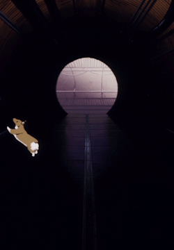 https://69.media.tumblr.com/5282aba104e6190fb9193d7d129c2451/tumblr_mvqn8hhuGg1rpfx57o1_500.gif