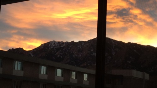 I love where I live