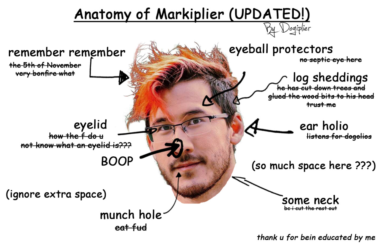 dogiplier:  I updated my old anatomy lesson i hope u learn