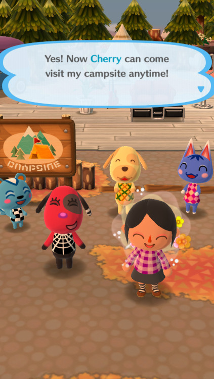 doctornsara:Of course I am making friends with all the dogs.But I need more friends on animal crossing pocket camp! Add me!My code is:26186890267 That me.Add me on Animal Crossing Pocket Camp!