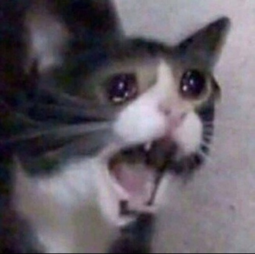 I’m Addicted To This Fic On Wattpad By Katy5704 And It’s Real Happy And Good Until I Remember The