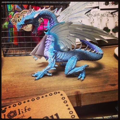 sammysofancy:  So I decided to buy this #dragon after my boyfriend talked me into it. Found it in #oceancity , #maryland on the #boardwalk at the #kiteloft . Even though this dragon has a little goatee going on, I still decided it’s a girl dragon &