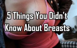 sexystory859:  5 Things You Didn’t Know About Breasts