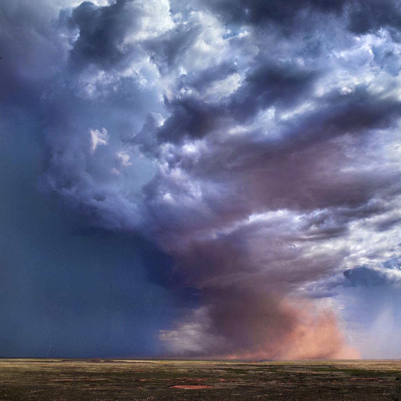 nevver:  Earth matters