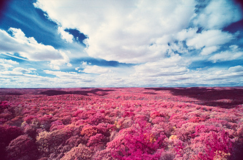 A Change of Seasons, New York (October 2013) Kodak EIR (Infrared)