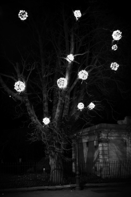 sean-o-neill-photography:Christmas in Dublin