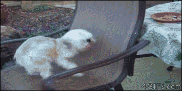 4gifs:  The struggle is real. [video]   “I just.. I - I just want… I just… goddangit!”