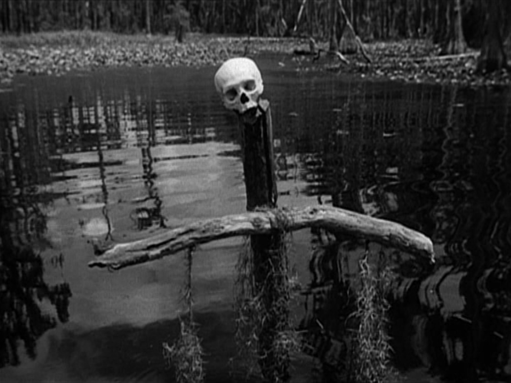 Болото призраков. Swamp Water, 1941. Черное болото. Страшное болото. Мрачные болота.