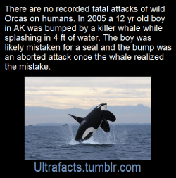 Ultrafacts: Source: [X] Click Here For More Facts! 