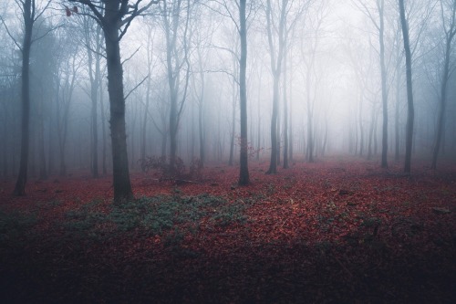 freddieardley: ‘A disorienting landscape’ Photographed by Freddie Ardley Instagram @fred