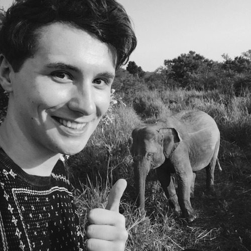 lavenderlester:selfie with a wild elephant