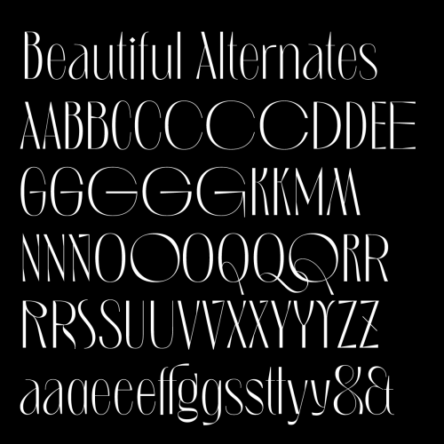 Introducing LOGGIA, a super stylish typeface packed with fancy ligatures and alternates. Designed by