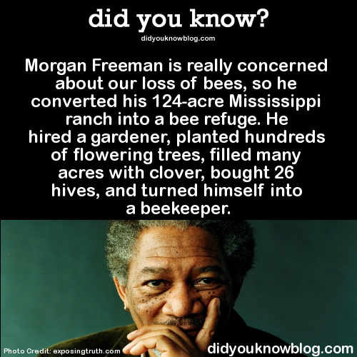 did-you-kno: He’s also ‘at one with the bees.’ He doesn’t wear a beekeeping hat, because he’s Morgan