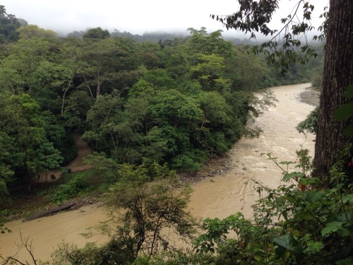 wiguitours:7 hours trekking in Ketambe, pure rainforest, pure beauty!