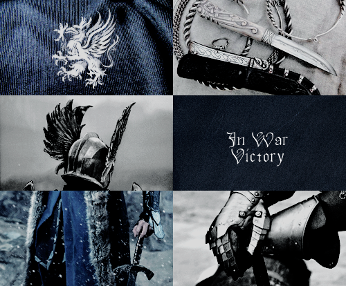 padlme:Dragon Age aesthetics | Grey Wardens  