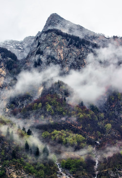 johnnybravo20:  Spring in the Alps (by Ricardo Gomez Angel)