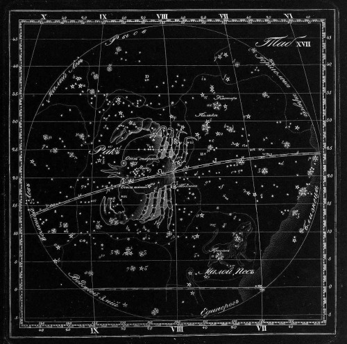 chaosophia218:  Kornelius Reissig - Constellations, “Sozviezdiia porn pictures