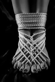 artype:  Shibari.