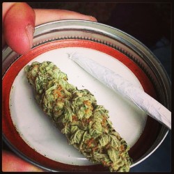dutchiemag:  From:@i_love_weed_and_other_things Brought to you by The Dutchie