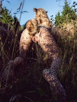 Bestiality girl leopard / doggy style