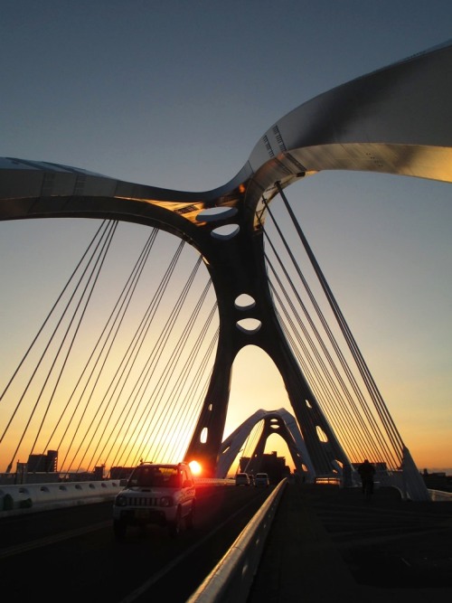 Toyota Long bridge at the time of sunset.