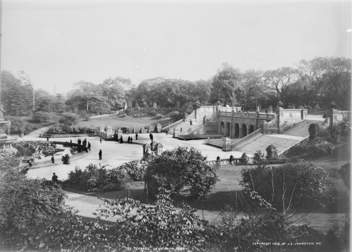hyperallergic:  The Glass Plate Garden: Early Photographs of Central Park