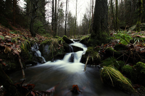 Waterfall Meißner Nature Reserve by Niklas Schröder