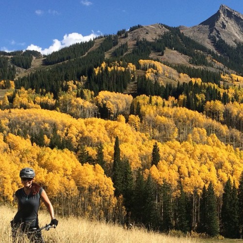 bikes-bridges-beer: Altitude and aspens, thin air and big views at 10k feet #outsideisfree if