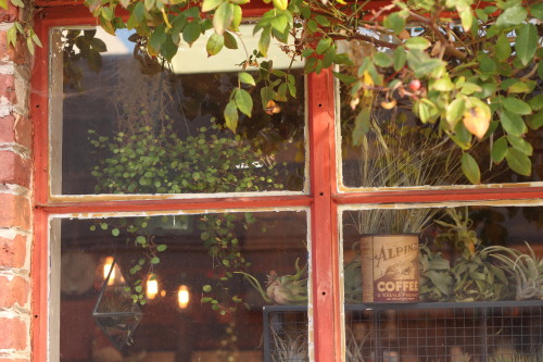 Crimson- store in Temescal