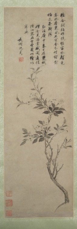 Flowering Crab Apple, Shen Zhou, 1500, Cleveland Museum of Art: Chinese ArtSize: Image: 129.6 x 41.4