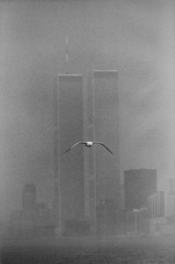 la-beaute–de-pandore: Louis Stettner