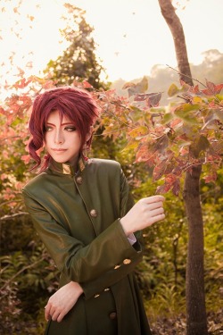 magicaljojo:  Noriaki Kakyoin - YUI