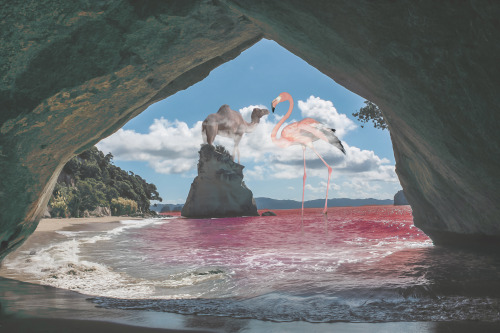  O perigoso encontro entre a terra e o mar, 2020. Colagem digital, impressão limitada. 