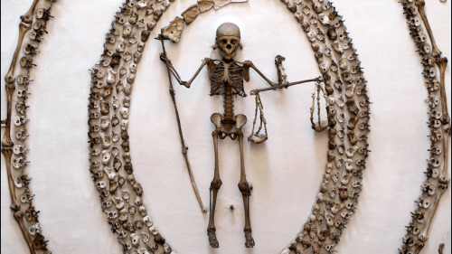 tigerjeff:Catacombs…