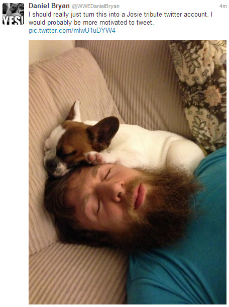 pedomustachepunk:  Even the future WWE World heavyweight Champion needs to rest sometimes   Ahh he’s sooo adorabe!